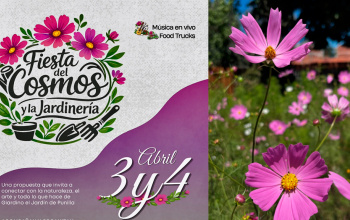 Villa Giardino: El Cosmos y la música local protagonizan la agenda de Semana Santa 