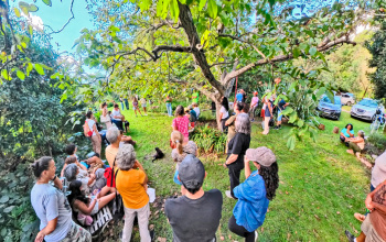 Villa Giardino: renace la Fiesta del Cosmos con un recorrido botánico y cultural