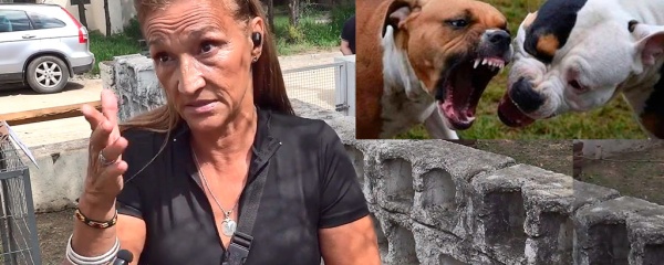 Grave denuncia por propietario irresponsable de pitbulls