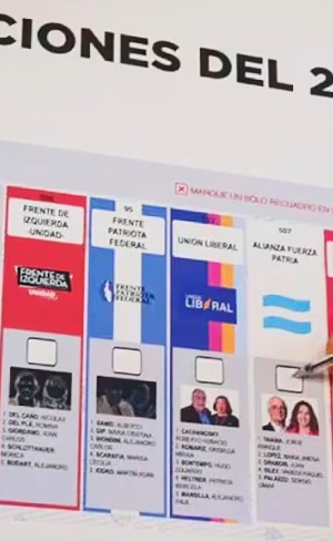 Elecciones Legislativas 2025: consultar el padrón de Punilla