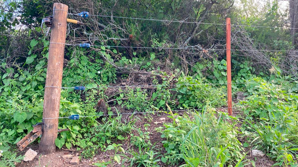 Preocupación de vecinos ante nueva ocupación de loteo Puma