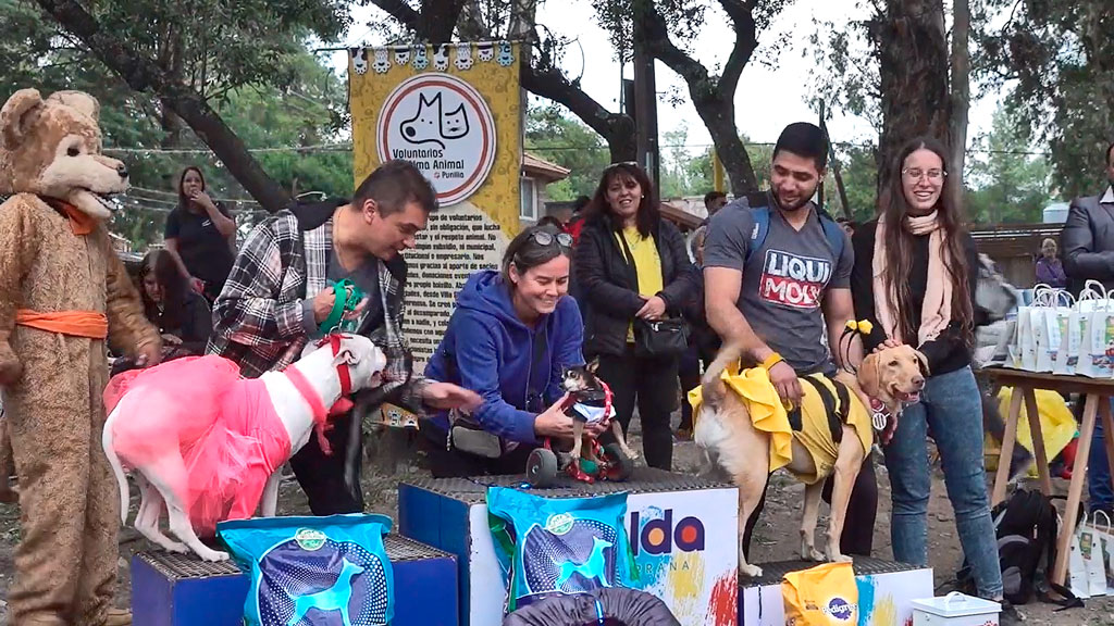 Alma y Seguridad animal festejaron en el Trenkel