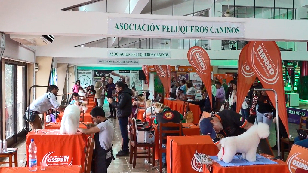 Competencia de groomers con modelos caninos en Hotel Luz y Fuerza