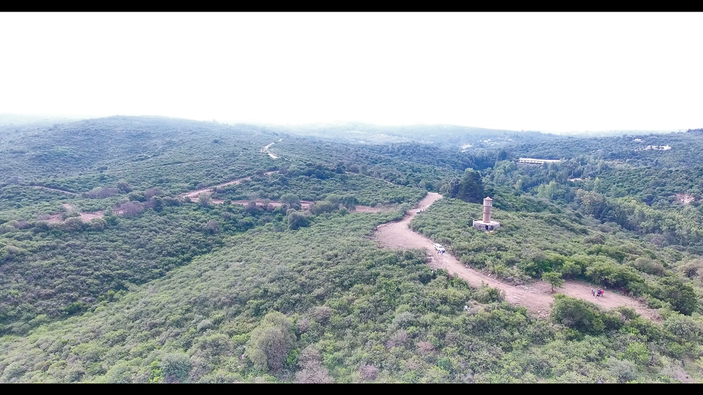 Alerta ecológica y urbanística por obras en loteo Parque Puma