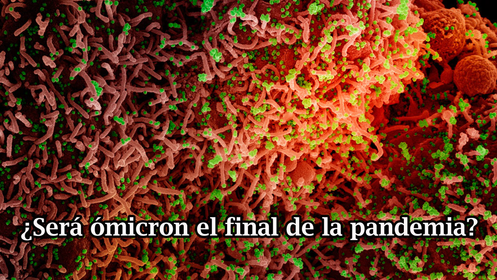 ¿Será ómicron el final de la pandemia?