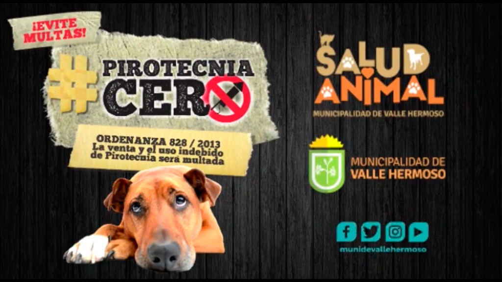 Valle Hermoso: recomendaciones de Salud Animal por pirotecnia