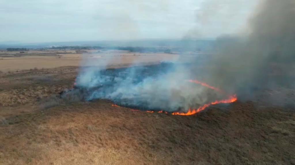 Aviones y 12 dotaciones de bomberos combaten incendio en Molinari