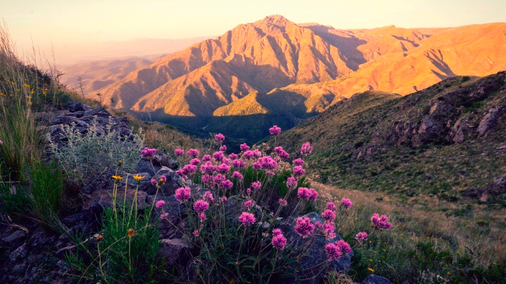 Córdoba mostrará su potencial turístico en el I Foro Glocal de Turismo y Desarrollo Económico
