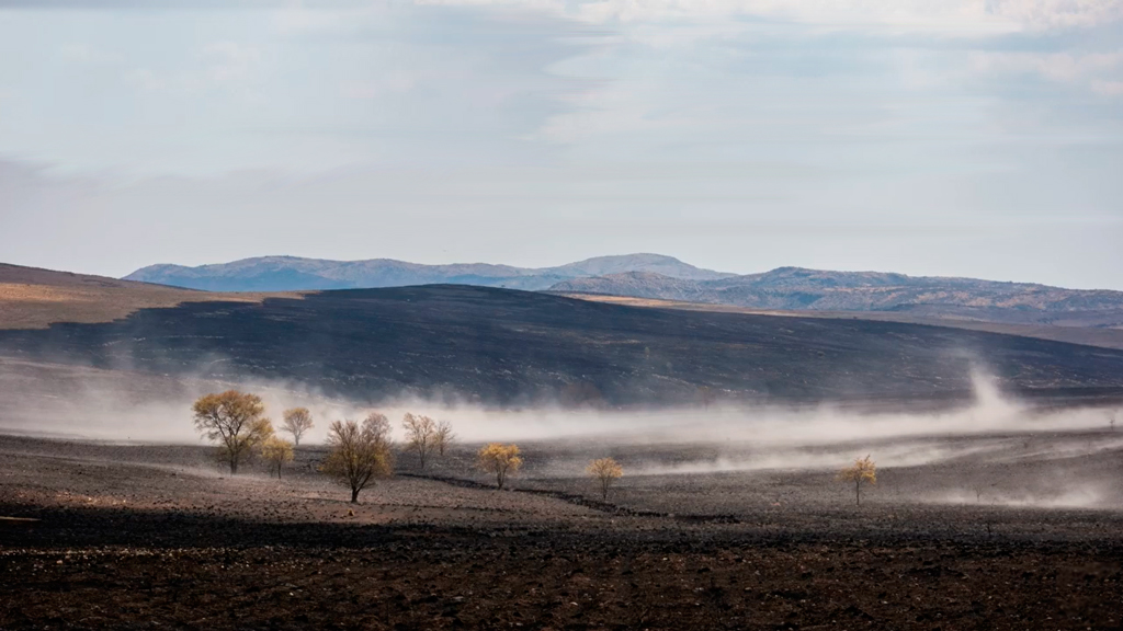 La provincia presentó denuncia por venta de terrenos afectados por incendios