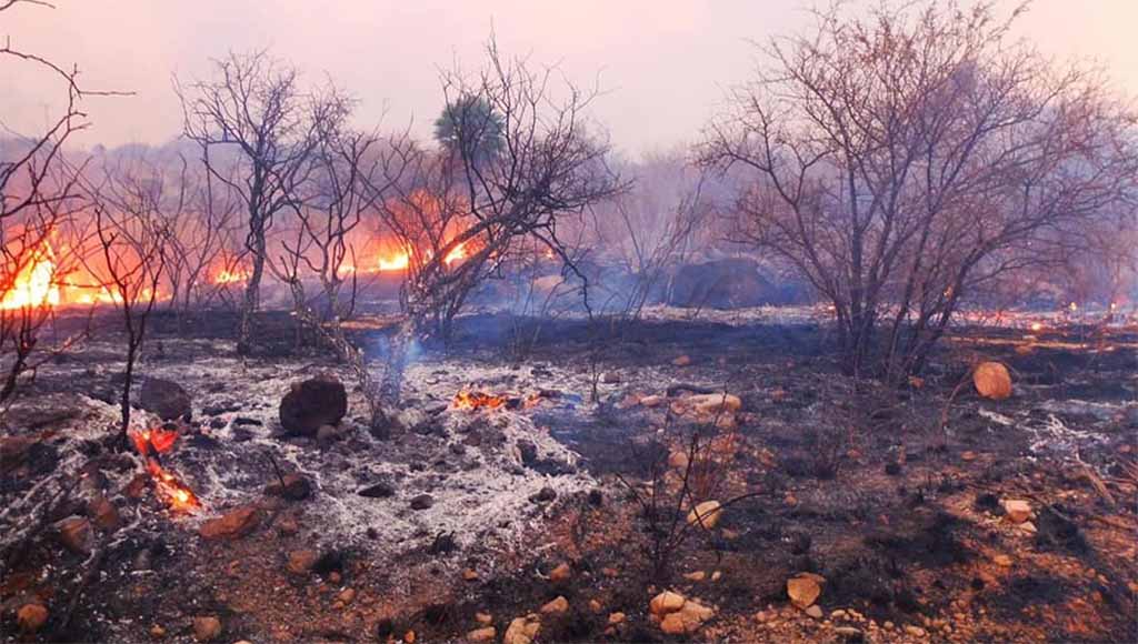 Gabriel Molina: actualización de estados de los incendios en Punilla