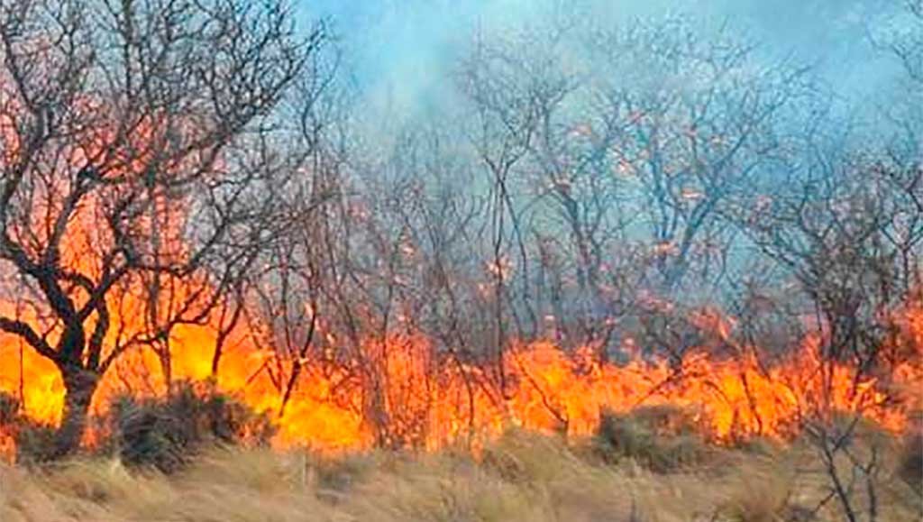 Varios focos de incendio forestales en Punilla