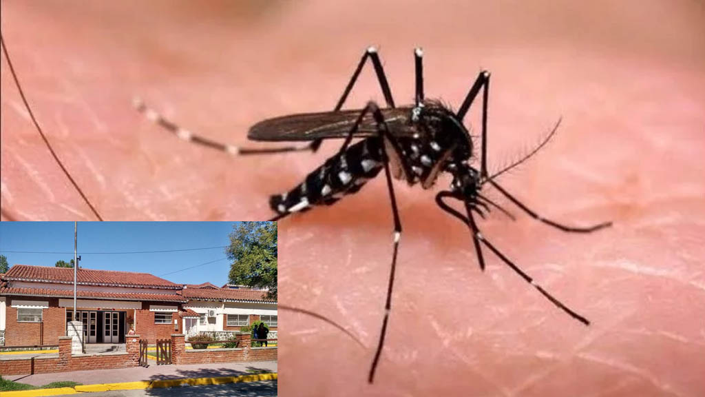 Dengue, activadas todas las medidas de protección y protocolo por dos casos en La Falda