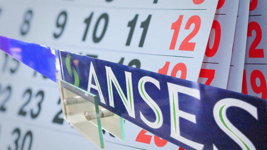 Calendario de pago para el Ingreso Familiar de Emergencia