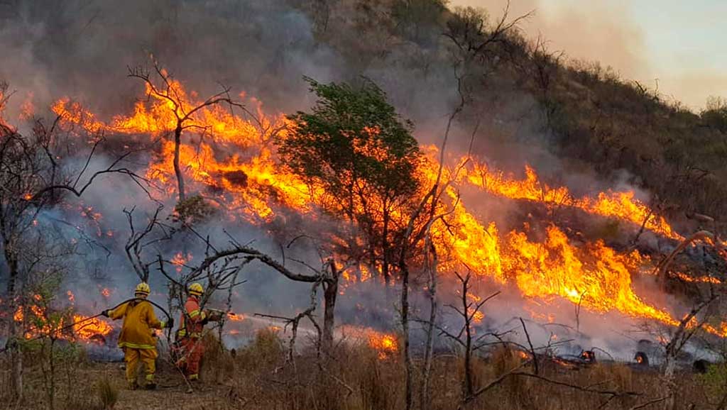 Actualización de incendio: Bomberos combatieron el fuego durante toda la noche