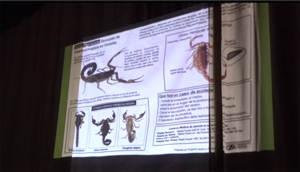 Charla sobre escorpiones y alacranes en el cine de Villa Giardino