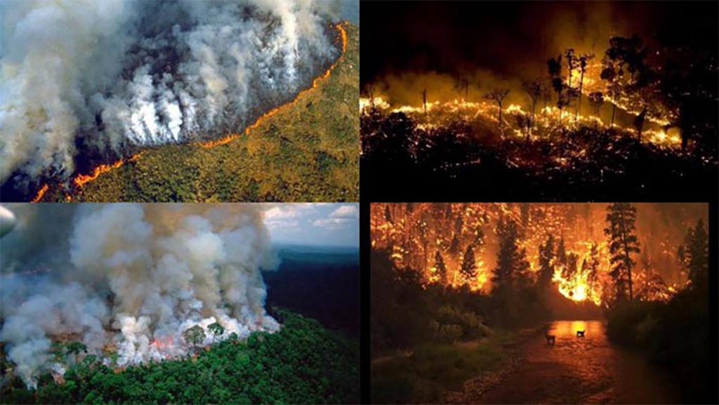 Inminente actuación de bomberos del centro de Punilla en incendio de la Amazonia