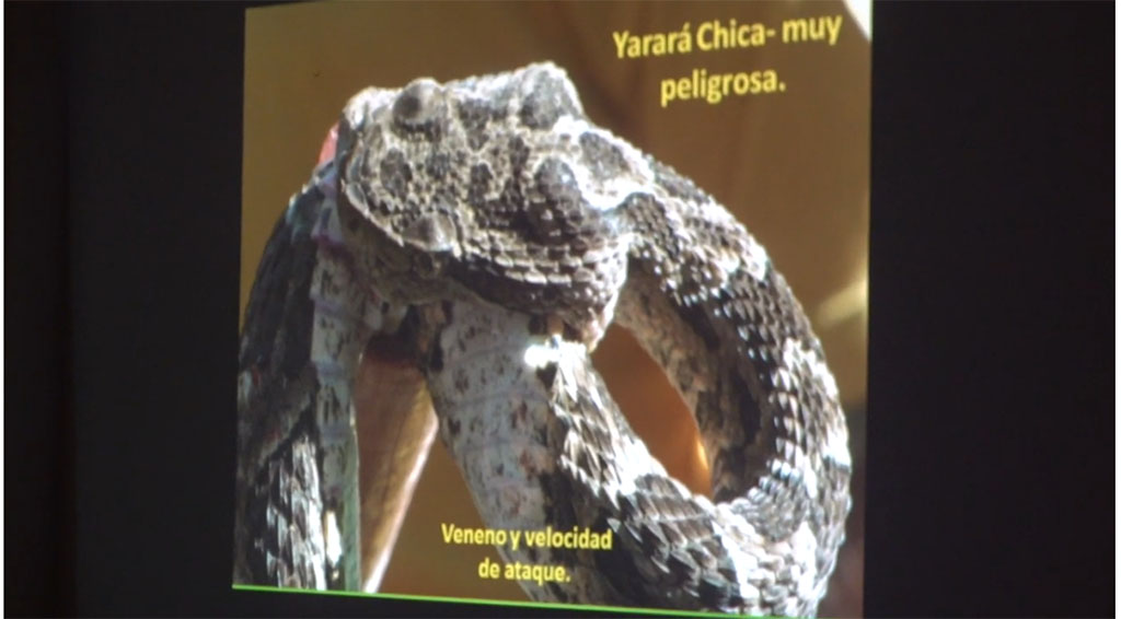 Villa Giardino, curso instructivo y preventivo sobre serpientes venenosas en Córdoba
