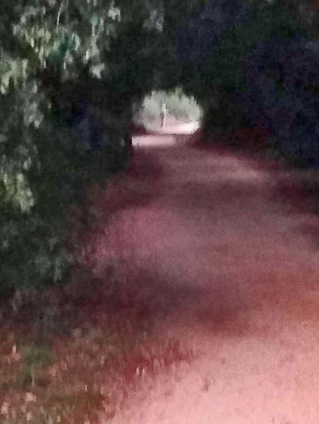 inv-peregr-russo-5-280324-tdcred