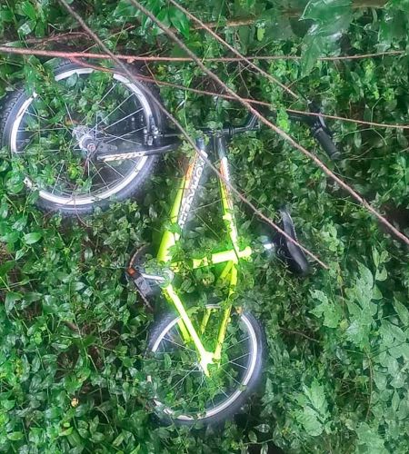 detenc-polic-6-100326-tdcred