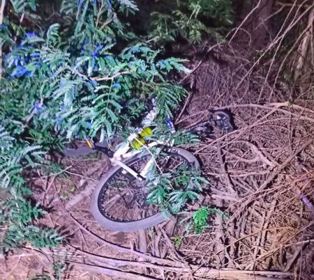 polic-puni-norte-4-080424-tdcred