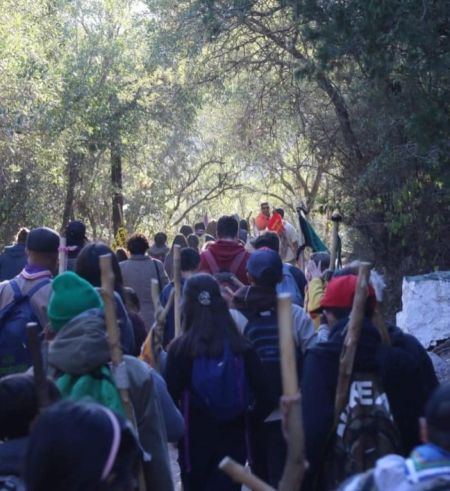 scout-vg-3-070924-tdcred